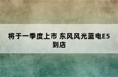 将于一季度上市 东风风光蓝电E5到店